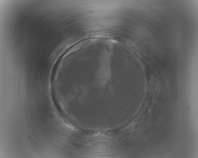 X0000070170290200606162103