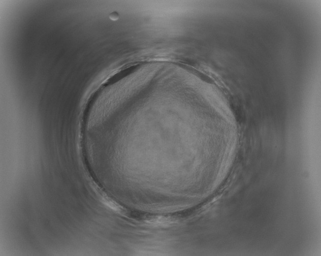 X0000070170293200606162103