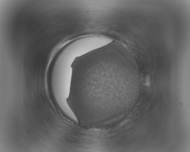 X0000070170294200606162103