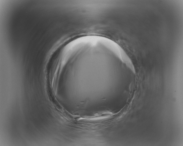 X0000070170295200606162103