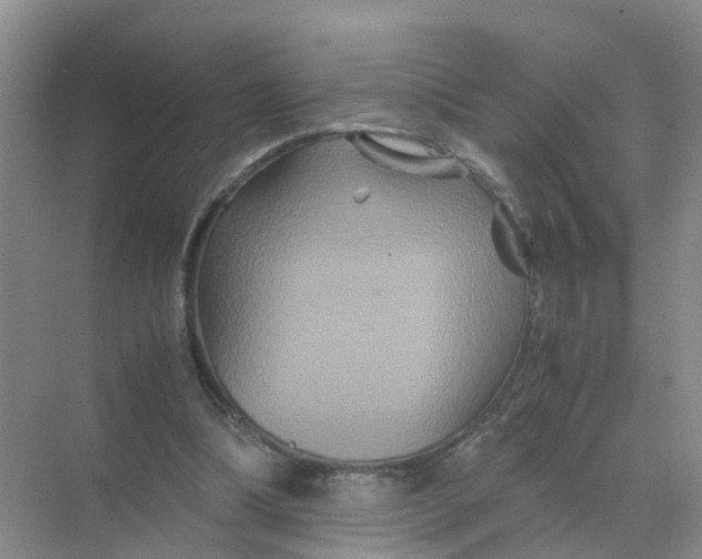 X0000070170298200606162103