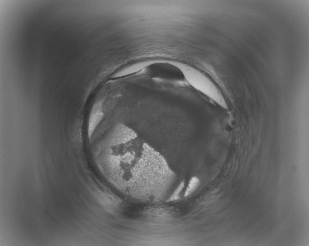 X0000070170299200606162103