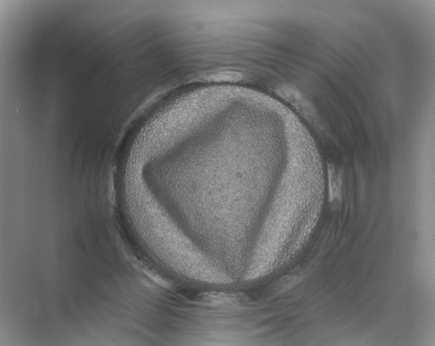 X0000070170300200606162103