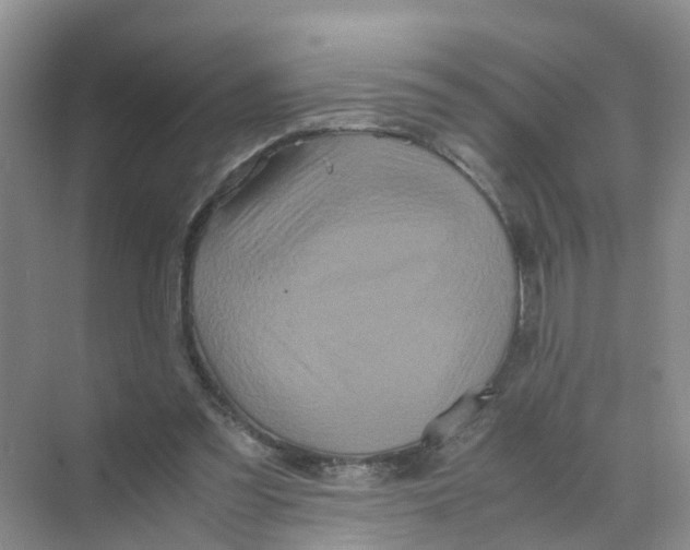 X0000070170301200606162103