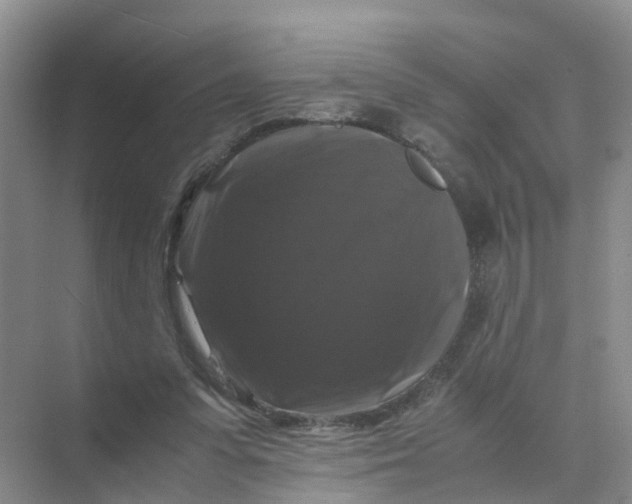 X0000070170303200606162103