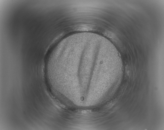 X0000070170304200606162103