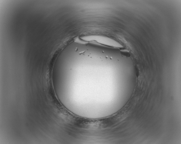 X0000070170306200606162103