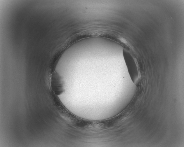 X0000070170307200606162103