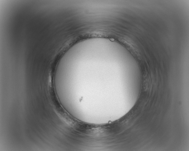 X0000070170310200606162103