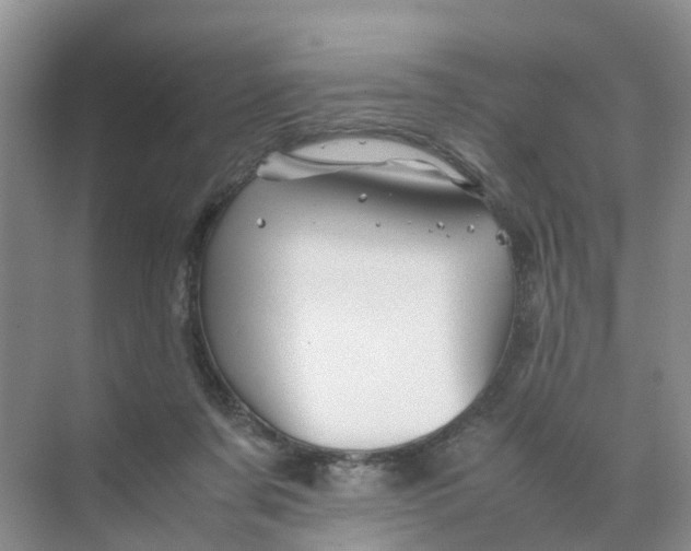 X0000070170311200606162103