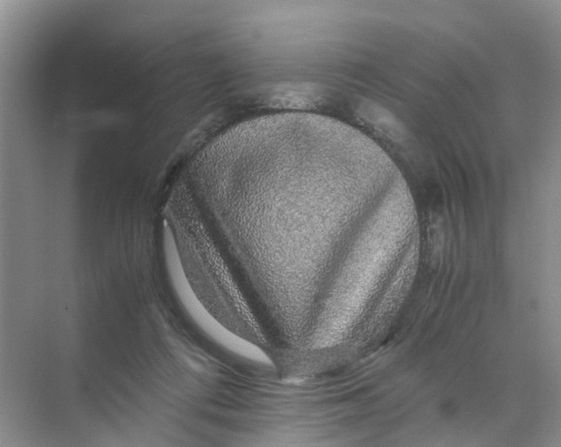 X0000070170312200606162103