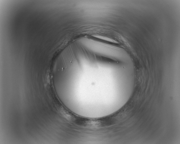 X0000070170313200606162103