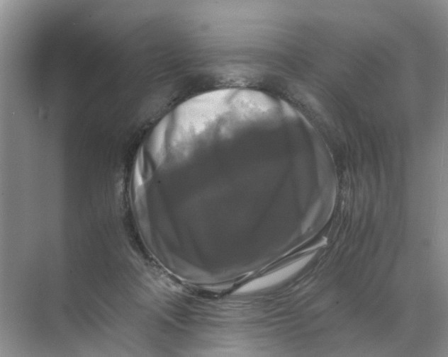 X0000070170314200606162103