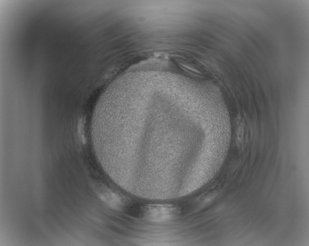 X0000070170316200606162103