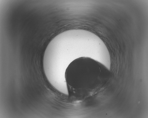 X0000070170319200606162103