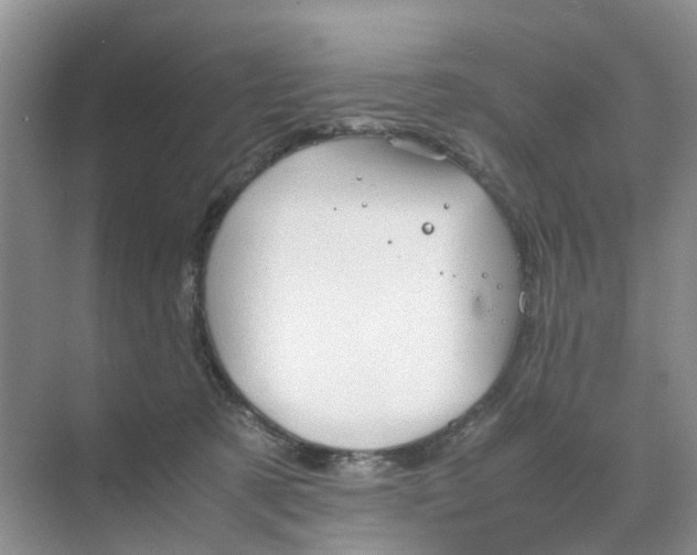 X0000070170321200606162103