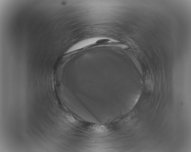 X0000070170322200606162102