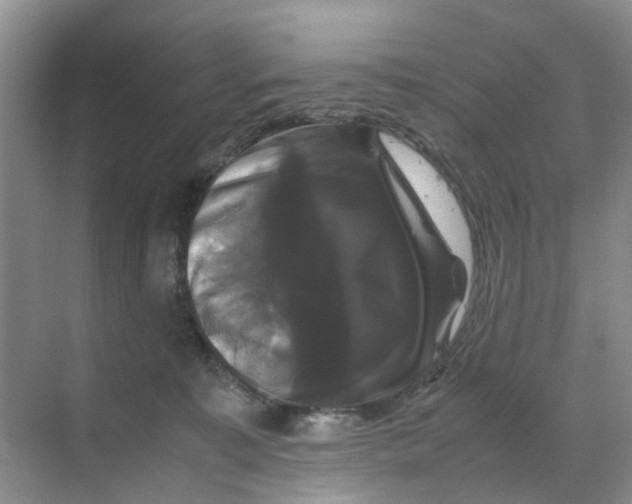 X0000070170323200606162102