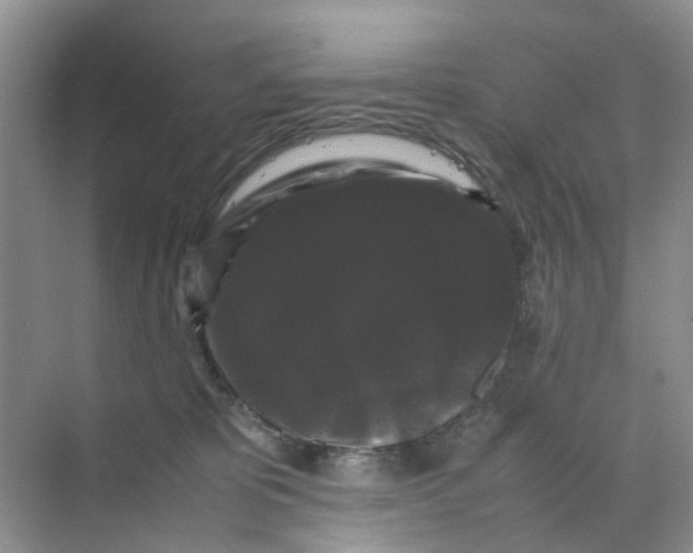 X0000070170325200606162102