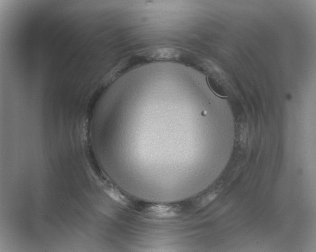 X0000070170326200606162102