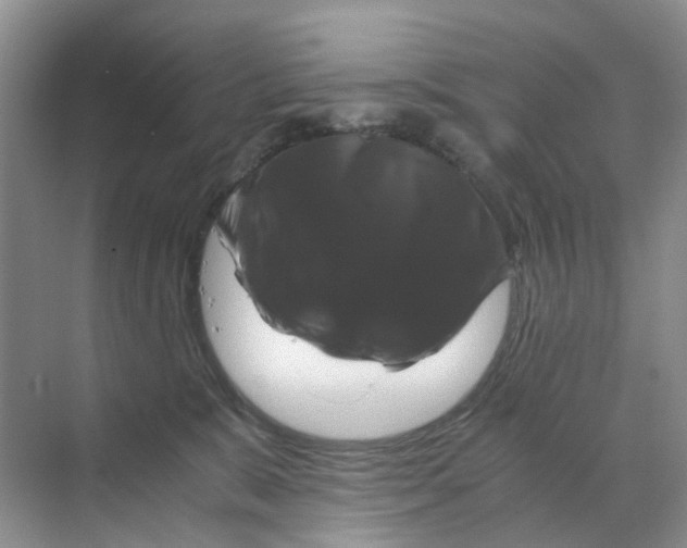 X0000070170327200606162102