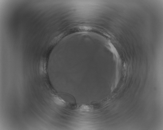 X0000070170330200606162102