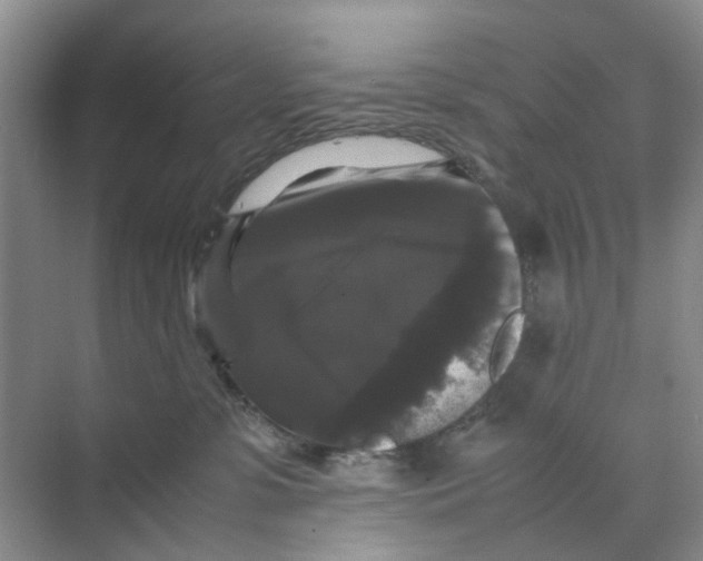 X0000070170331200606162102