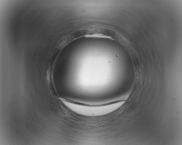 X0000070170333200606162102