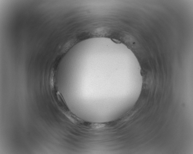 X0000070170334200606162102