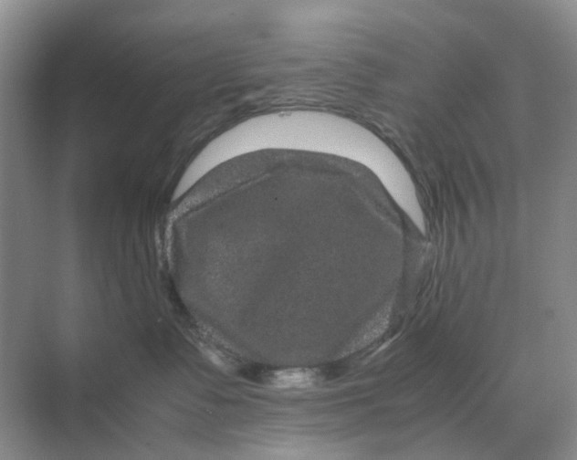 X0000070170335200606162102