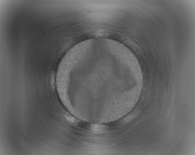 X0000070170336200606162102