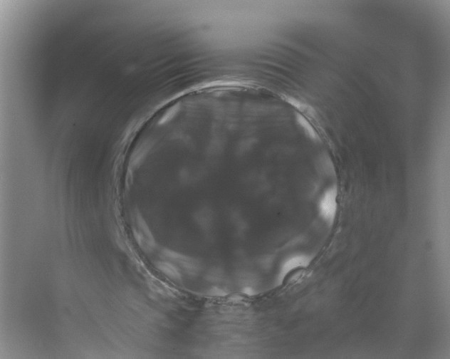 X0000070170337200606162101