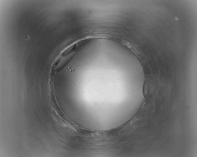 X0000070170338200606162101