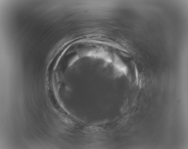 X0000070170339200606162101