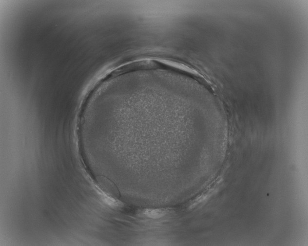 X0000070170341200606162102