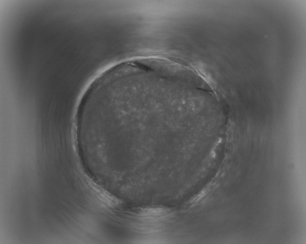 X0000070170342200606162102