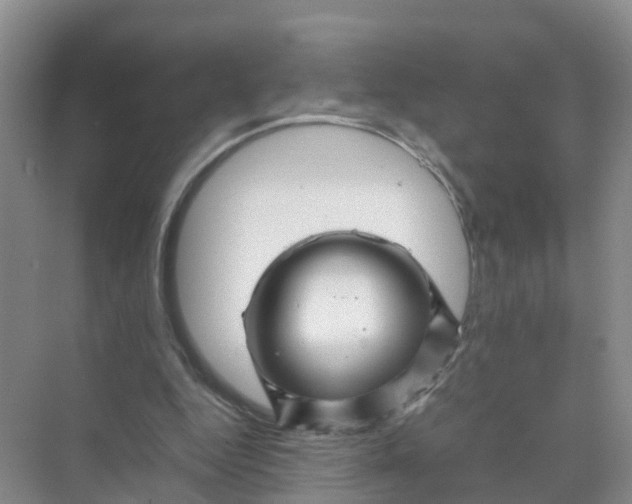 X0000070170344200606162102