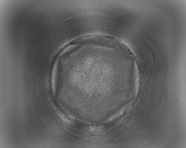 X0000070170345200606162102