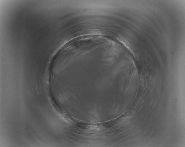 X0000070170347200606162102