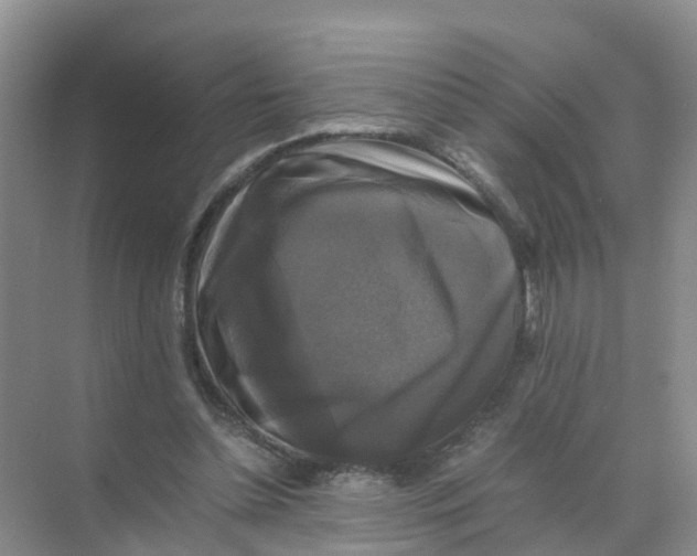 X0000070170348200606162102