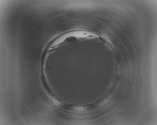 X0000070170349200606162102