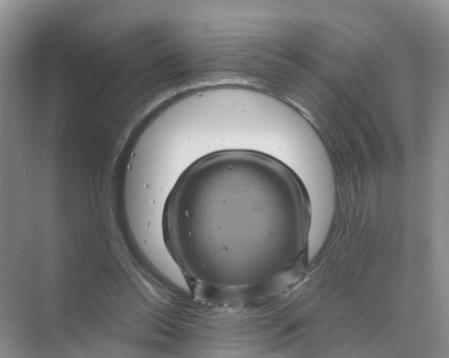 X0000070170350200606162102