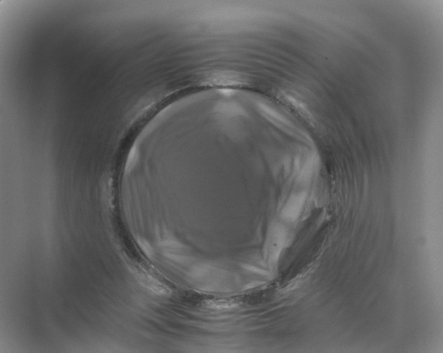 X0000070170351200606162102