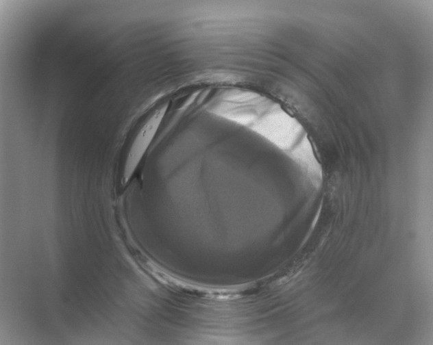 X0000070170352200606162102