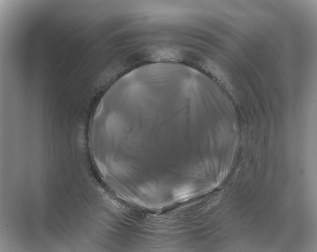 X0000070170353200606162102