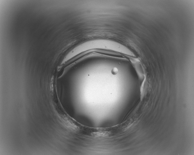 X0000070170356200606162102