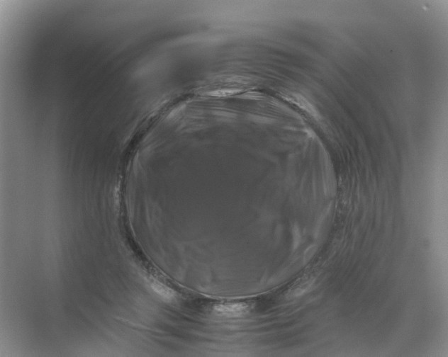 X0000070170357200606162102