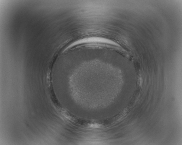 X0000070170360200606162102