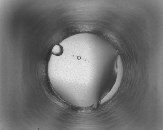 X0000070170362200606162102