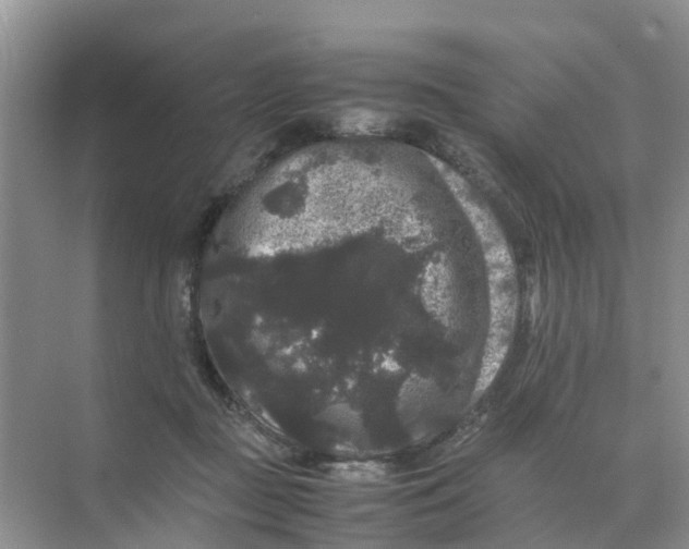 X0000070170363200606162102